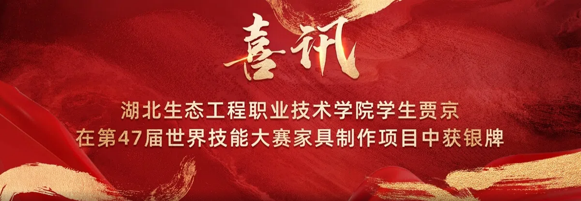 湖北生態(tài)工程職業(yè)技術(shù)學(xué)院學(xué)生賈京在第47屆世界技能大賽家具制作項(xiàng)目中獲銀牌
